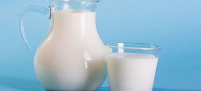 Как очистить самогон молоком в домашних условиях