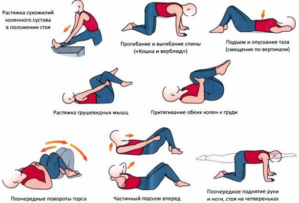 Физические упражнения для спины