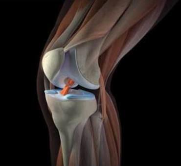 Причины болей в коленях и локтях