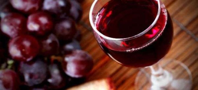 Готовим вино из винограда в домашних условиях