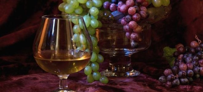 Секреты виноделов: из какого винограда делают коньяк
