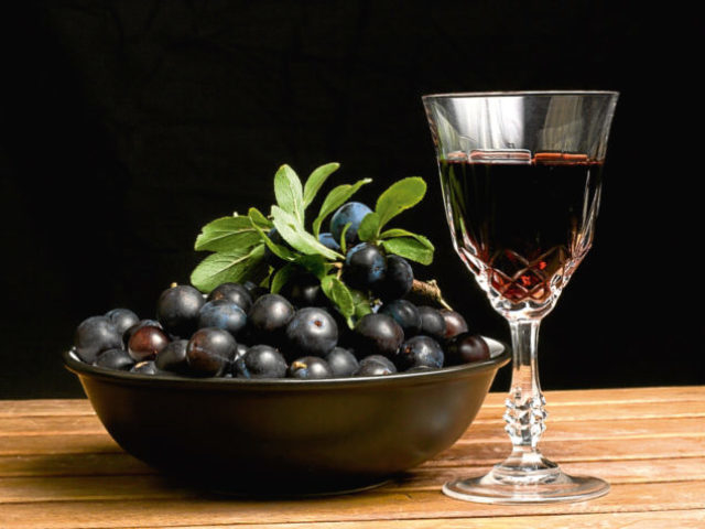 Домашнее вино из красной и черноплодной рябины. Лучшие рецепты приготовления