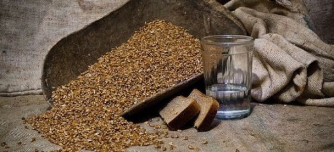 Пошаговое приготовление самогона на пшенице в домашних условиях