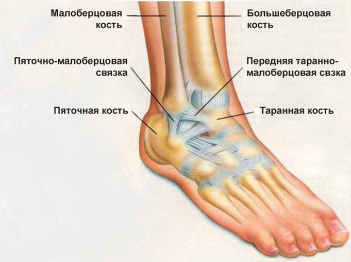 Как лечить разрыв и растяжение связок и мышц на ноге