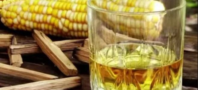 Как сделать самогон из кукурузы