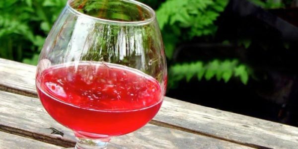 Вино из клюквы в домашних условиях 3 простых рецепта приготовления
