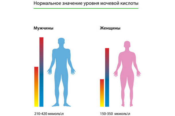 Уровень мочевой кислоты