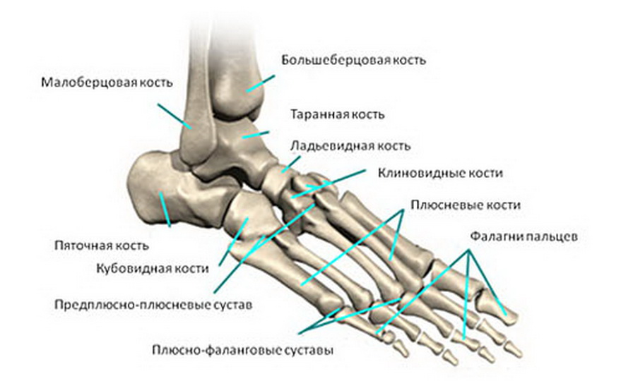Болит нога в области стопы сверху: что делать, если очень больно наступать и есть припухлость