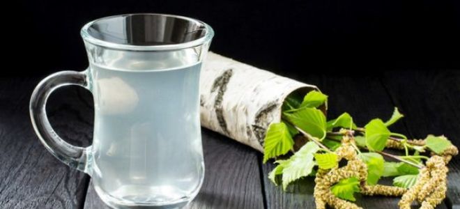 3 простых рецепта приготовления самогона из березового сока