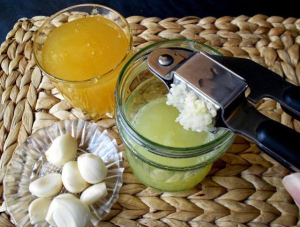 Домашняя настойка чеснока и лимона для лечения сосудов