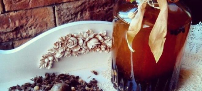Настойка из пчелиного подмора на спирту, водке и самогоне
