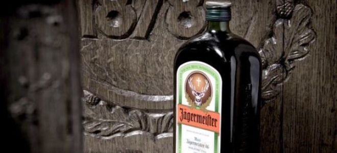 7 способа как пить Егермейстер (Jagermeister) от знатоков алкогольного дела
