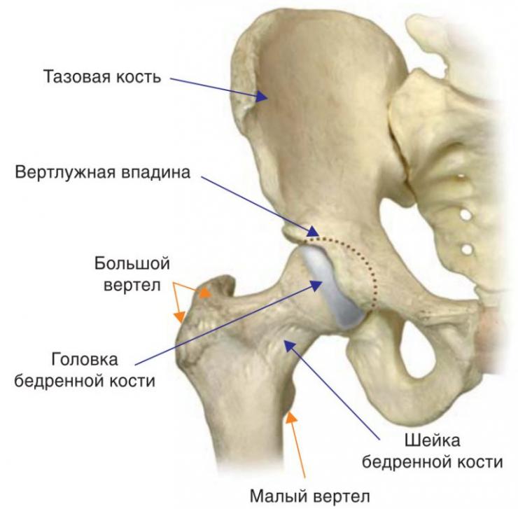 Травмы нижних конечностей: классификация и методы лечения