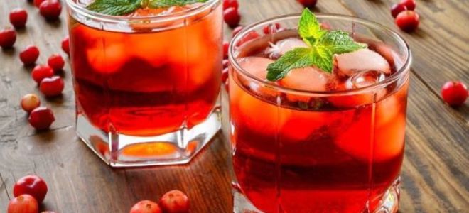 Рецепт настойки на самогоне и клюкве: полезный алкогольный морс