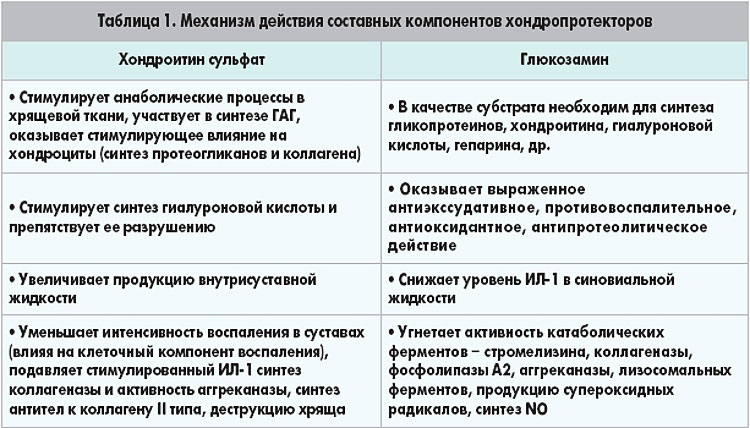 Механизм действия хондропротекторов