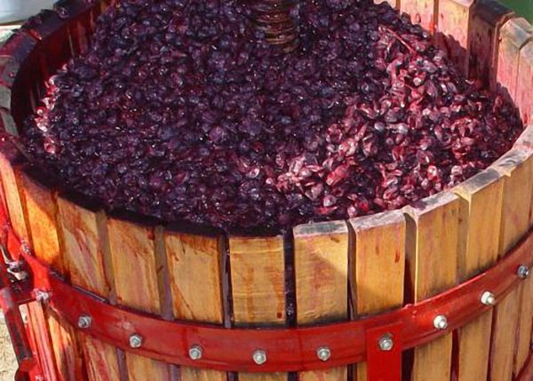 Вино на мезге из яблочного и виноградного жмыха пошаговое приготовление