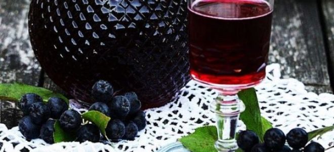 5 лучших рецептов настойки из черноплодной рябины на водке