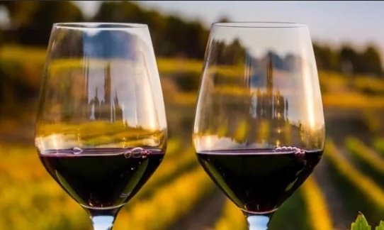 Вино Пино Нуар (Pinot Noir) особенности, разновидности и культура употребления