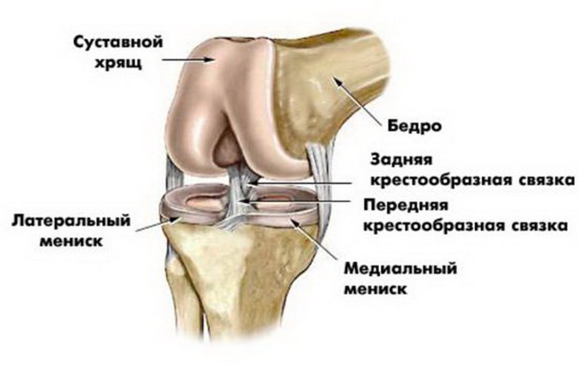 Показания и техника проведения артродеза суставов