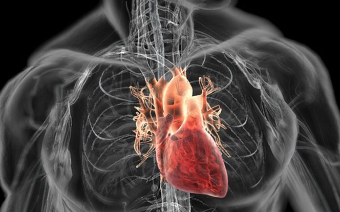 Магнитно-резонансная томография сердца 
