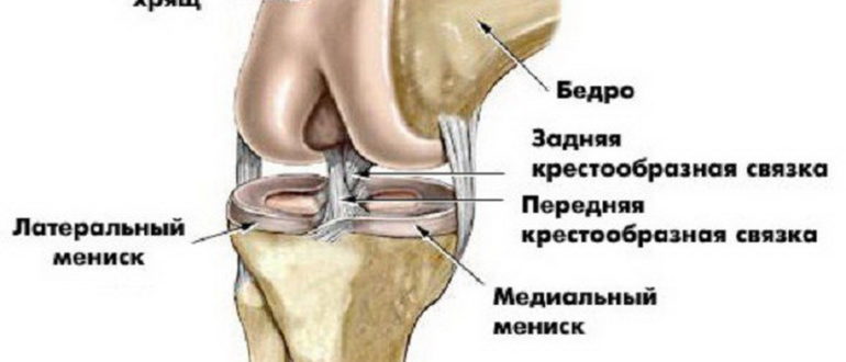 Передняя связка